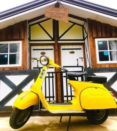 The paulwood caban & cafe timeless brew
