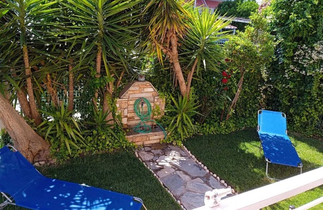 The Sunny House