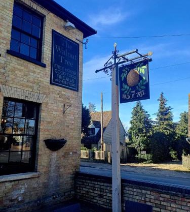 the walnut tree
