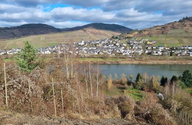 The Way - Guesthouse Natural Mosel