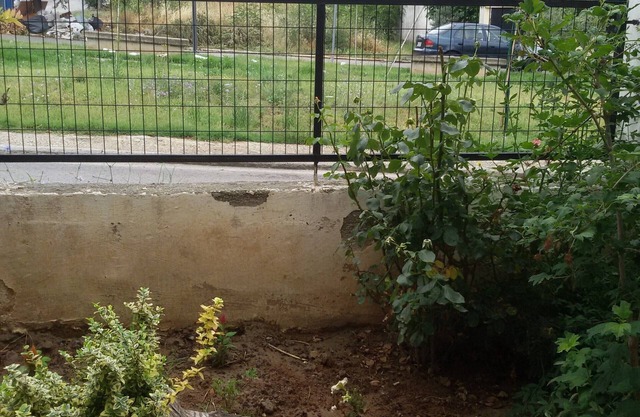 Thesshouse Fani &Kostas garden and free parking