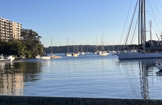 This apartment is a 1 bedroom(s), 1 bathrooms, located in RUSHCUTTERS BAY, NSW.