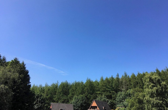 Thistle Lodge - UK7051