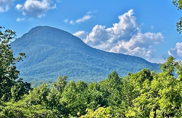 THUNDER RIDGE LODGE HAS AN AWESOME VIEW OF MT YONAH! Peace, privacy & seclusion.