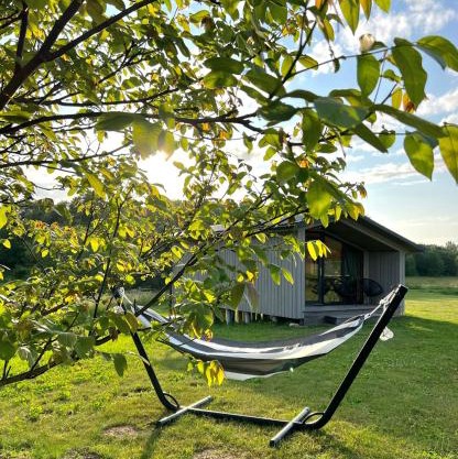 Tingulis charming cabin with a private pond