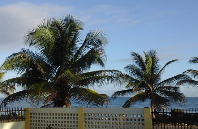 Tiny Gem - Oceanfront