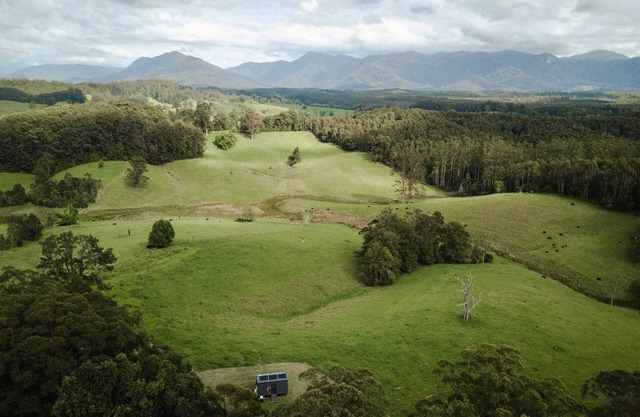 Tiny Nancy Summary: H