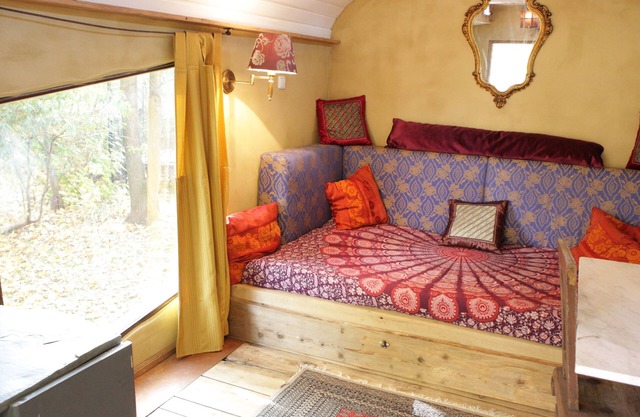 Tinyhouse under the trees