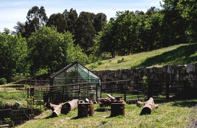 Tojeira - The perfect place to discover Trás-os-Montes and the Douro Valley