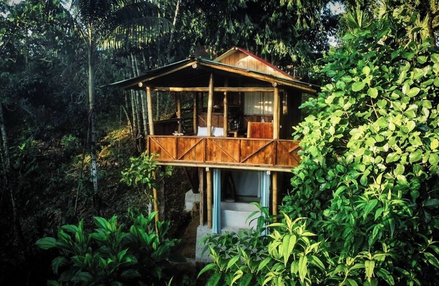 Toucan Lodge | Amazon Rainforest Retreat
