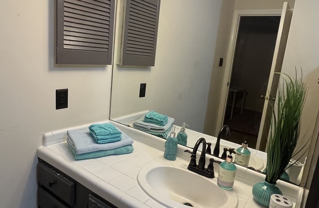 TOWNHOME NEAR THE NRG