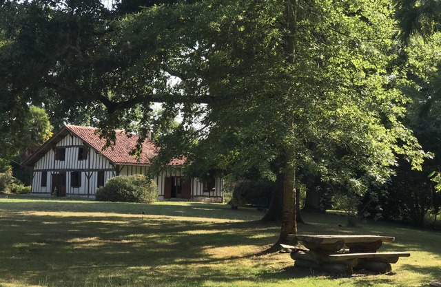 Traditional farmhouse, beautifully renovated with a pool in the forest