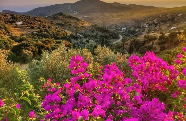 Traditional Suite -Two-Bedroom with Kitchenette - Valley, Seaview, Pool & Sunset