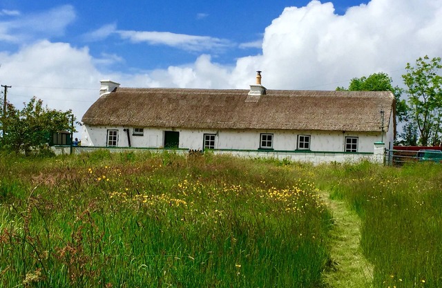 Traditional thatched cottage near the sea: log burner, paddock