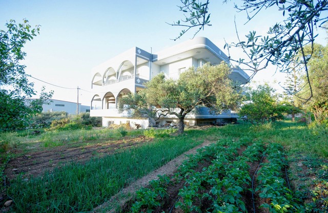Traditional Villa with Apartements in Olive Grove