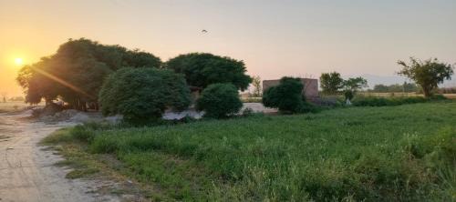 Traditional Village Farm Stay Nature & Peace in desi food