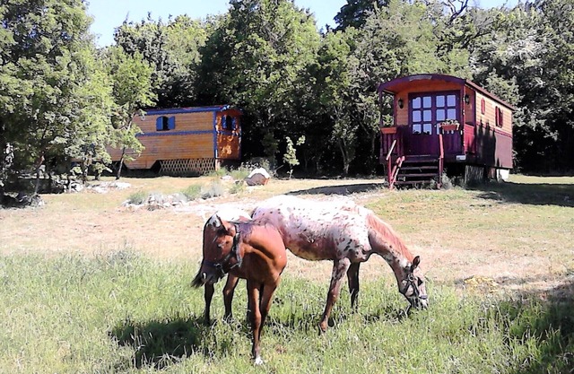 Trailer hire between the Cevennes and the Circus Navacelle La Bleue