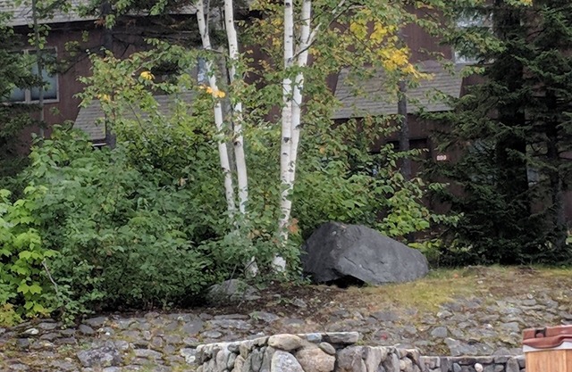 Trailside condo. Great for families.