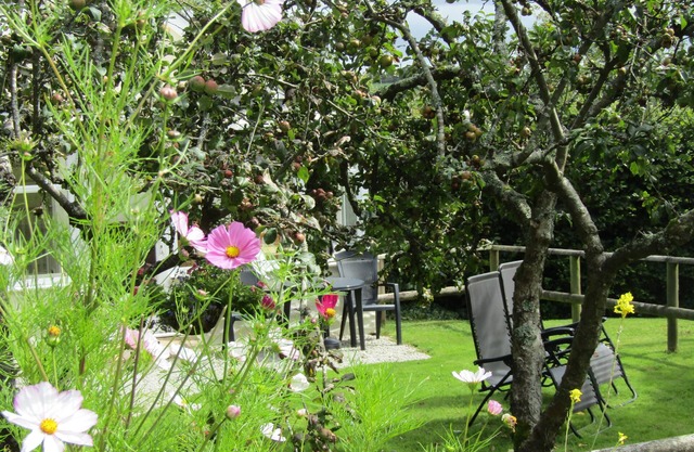 TRANQUIL COTTAGE,NR PERRANPORTH BEACH,GARDEN,BBQ,PARKING,DOG FRIENDLY