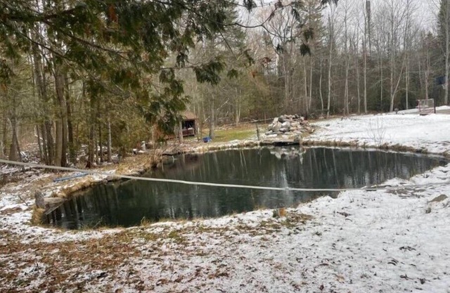 Tranquil Guesthouse Close to Ski Hills - 1 Bedroomn