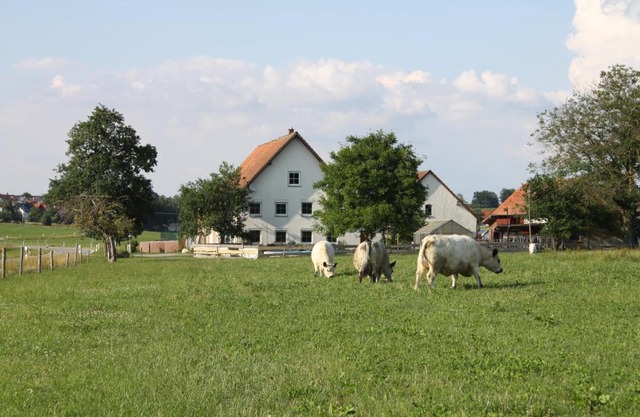 Traubshof