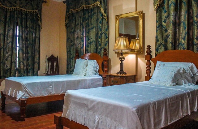 Treasure Bay Dive Resort is set between a scenic forest view and vast calm sea.