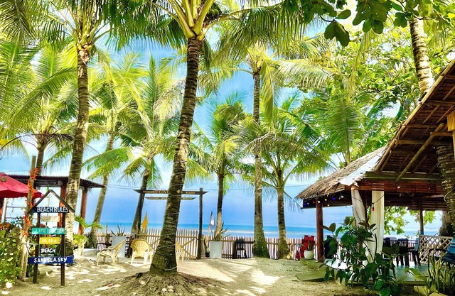 Treasure Beach Co.