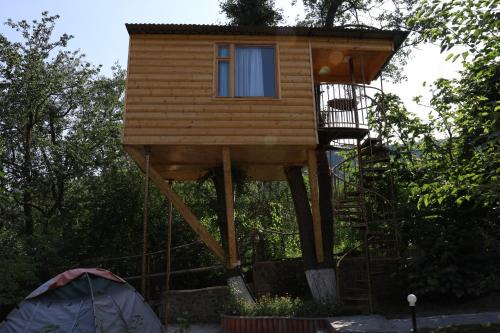 Tree House & Camping Goris