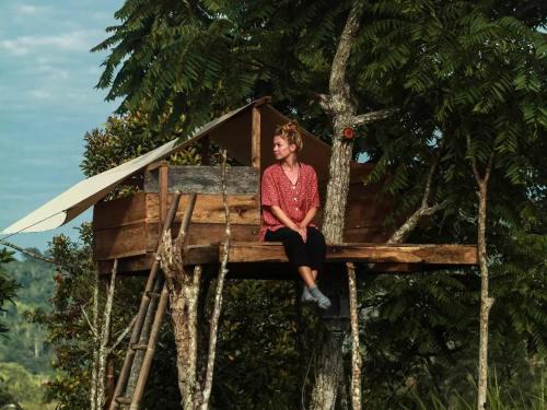 Tree House
