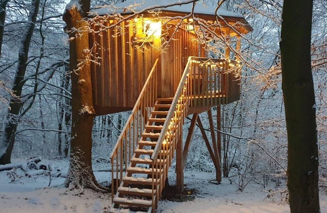 Tree house round house, living/sleeping area - Baumhaushotel Solling