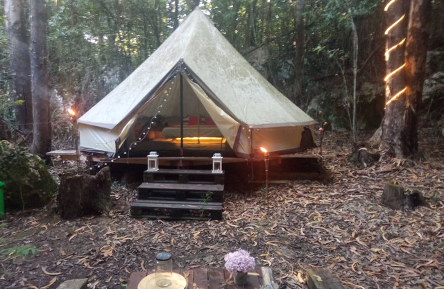 Treehouse in rural forest area, charming Tipi Glamping tent in downtown area