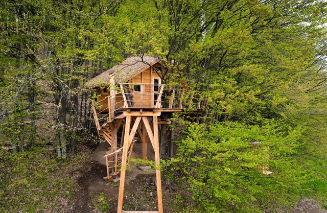 TREEHOUSE POD LESOM