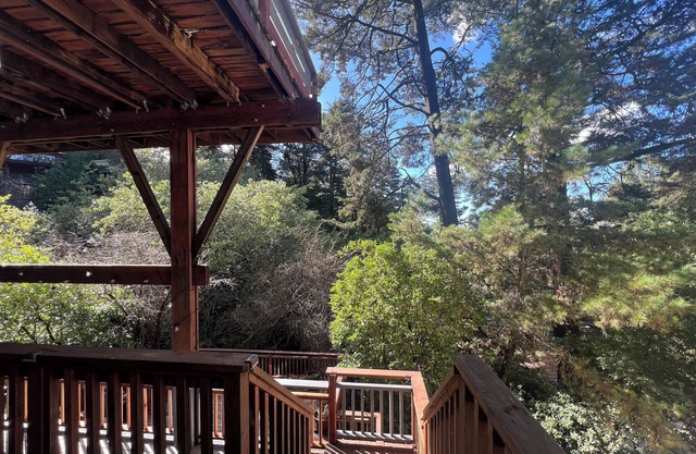 Treetop Refuge in Oakland Hillsn