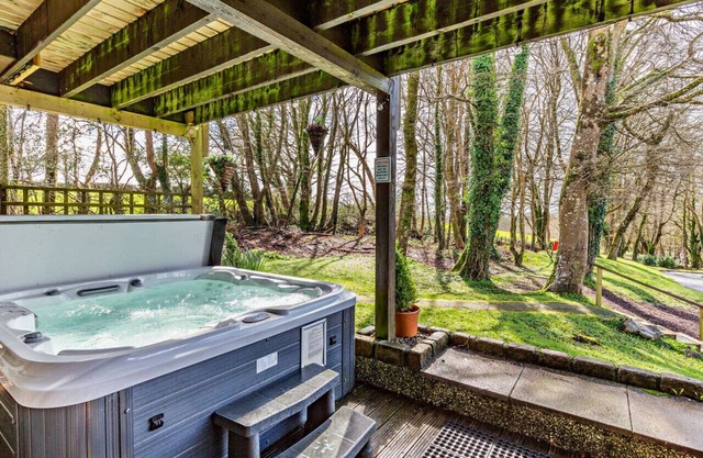 Treetops Lodge - Three Bedroom House, Sleeps 6