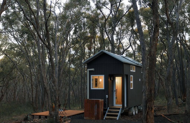 Treetops Tiny Summary