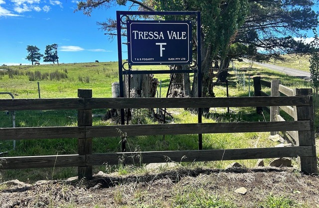 Tressa Vale Cottage - A peaceful country Cottage away from the hustle and bustle