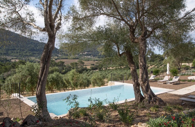 Treurer Olive Grove & Grand House - Adults Only