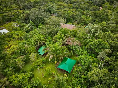 Tronco Tambopata Adventure