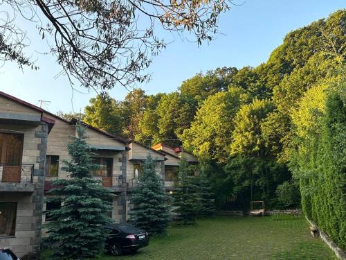 Tsaghkadzor Family Villa