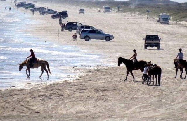 Turtle-C:Waterfront, Beach and Schlitterbahn,Fishing,Beach,Wifi,Boat Slip.