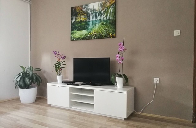 Two bedroom apartment with terrace Smoljanac, Plitvice (A-14979-b)