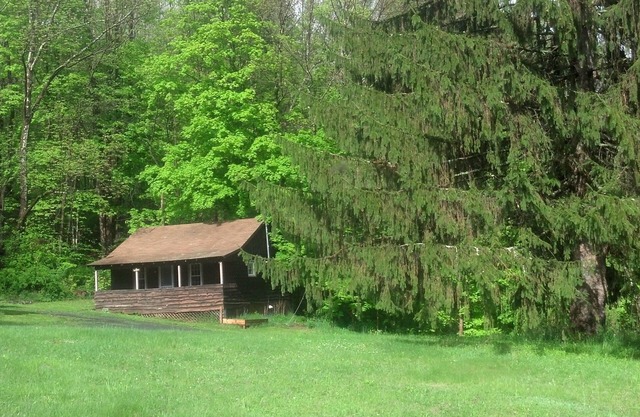 Two Bedroom Cabin in Central Catskills