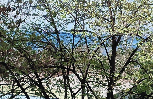 Two Big Waterfront Apartments in Same Building