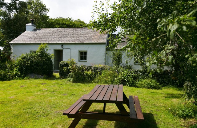Tyn Llan - a dog that sleeps 4 guests in 2 bedrooms