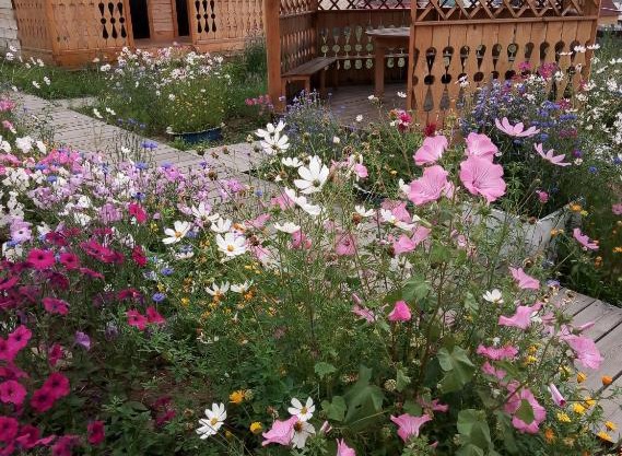 U Iriny Guesthouse