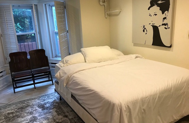 U St/Logan/Shaw < 1.5 Blocks to Metro-Hi ceilings-Lots of Light-English Basement