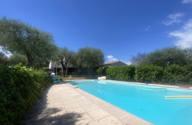 Under the olive trees