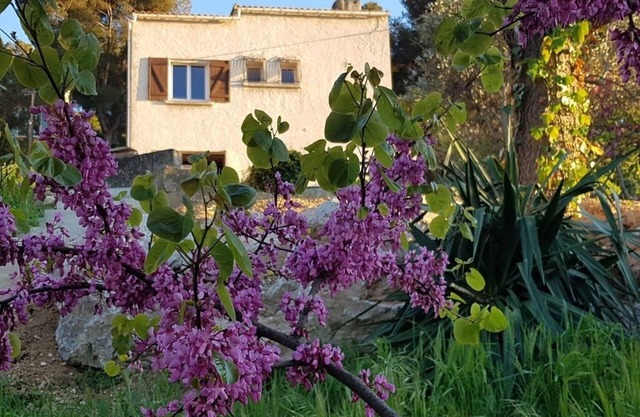 Unique à Marseille
