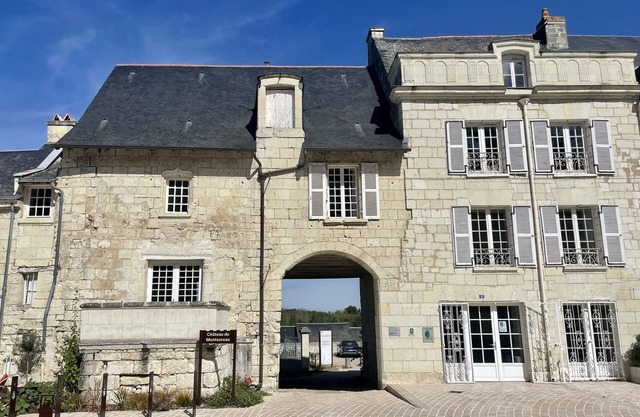 Unique house in Montsoreau between Saumur and Chinon