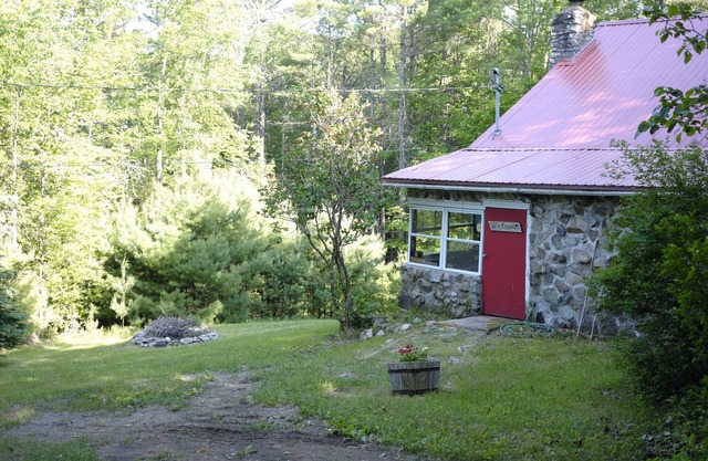 Unplug and Listen to the Loons!